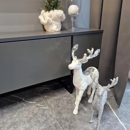 Apartman Reddog 아파트 코시체